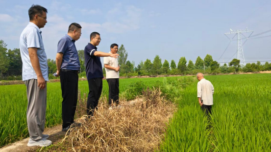 县委副书记蒋晓龙调研指导农业科研工作 县委副书记蒋晓龙调研指导农业科研工作