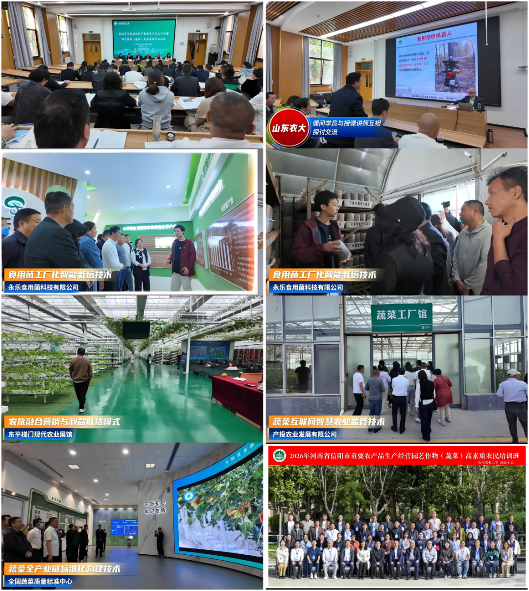 WPS拼图2.png