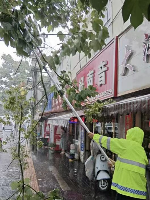 “暴雨中的坚守”——大树藏马蜂侵扰群众  平桥城管快速处置消除安全隐患
