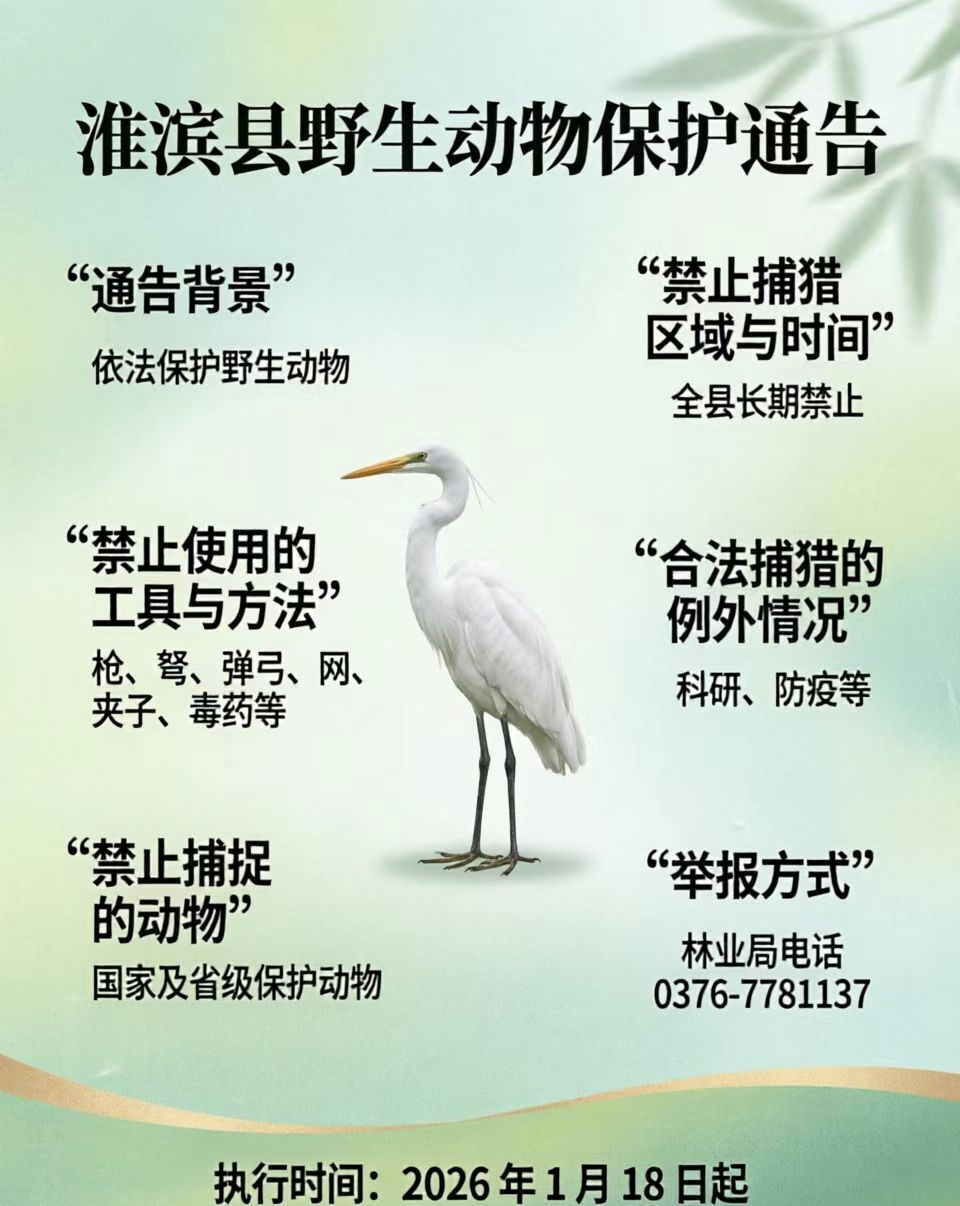 图文解读：淮滨县人民政府关于禁止猎捕野生动物的通告