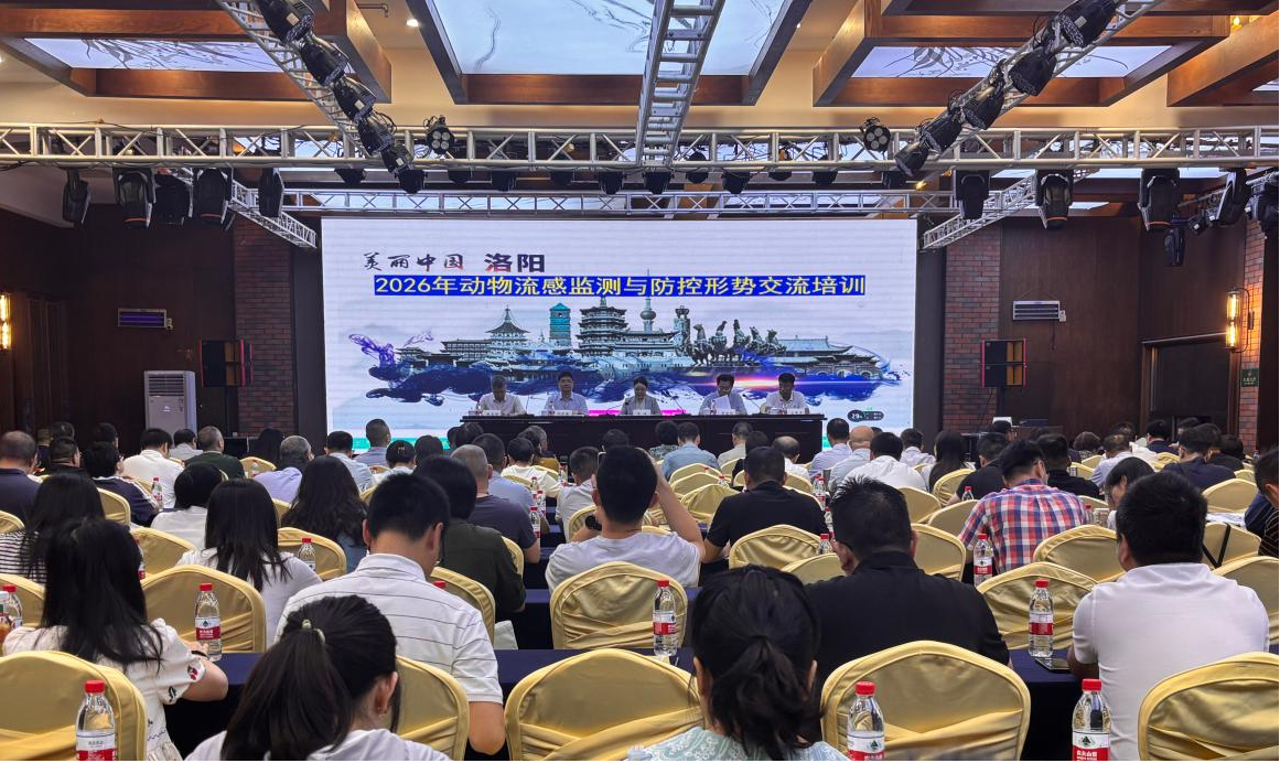 2026年全国动物流感监测与防控形势交流培训班在洛阳成功举办