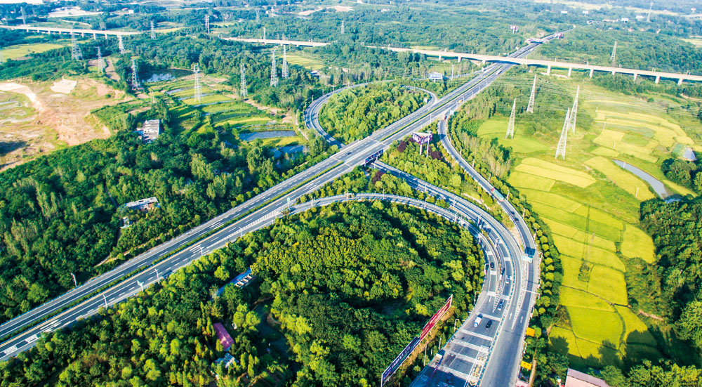 新区路网.jpg